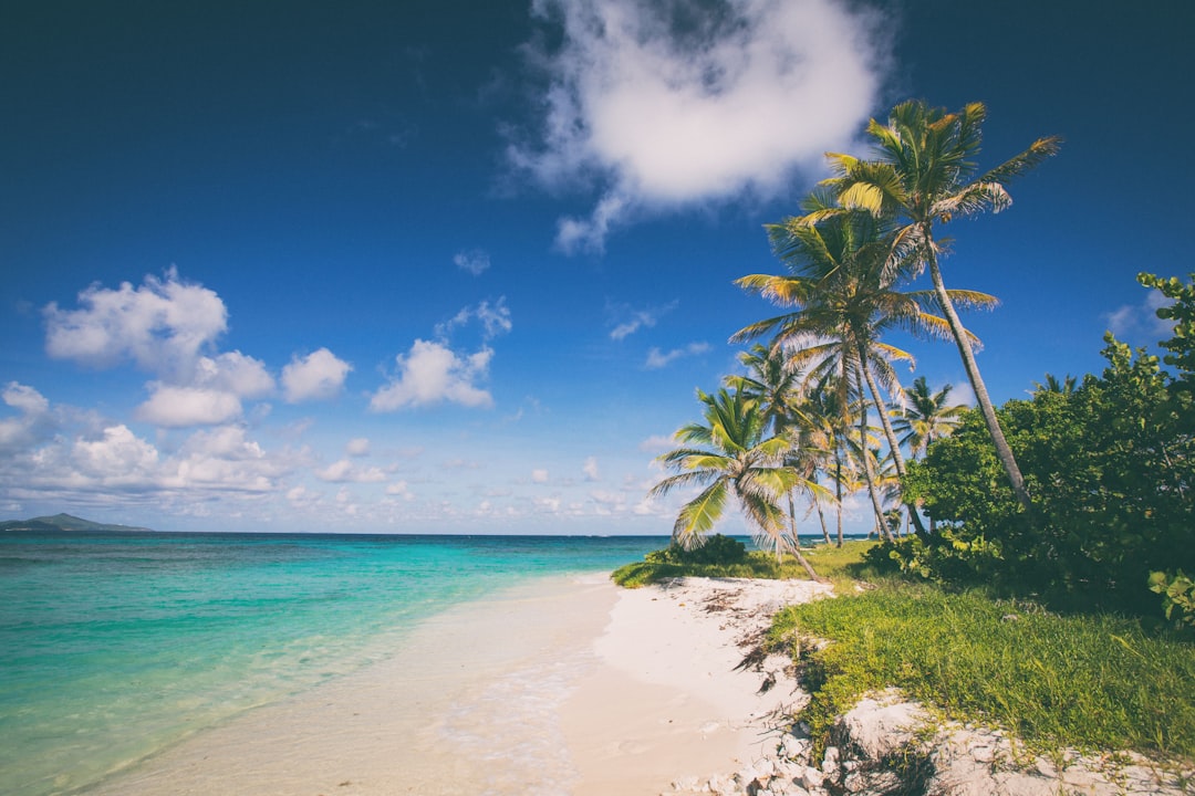 Vanuatu vs Caribbean Citizenship: Which Is Better?